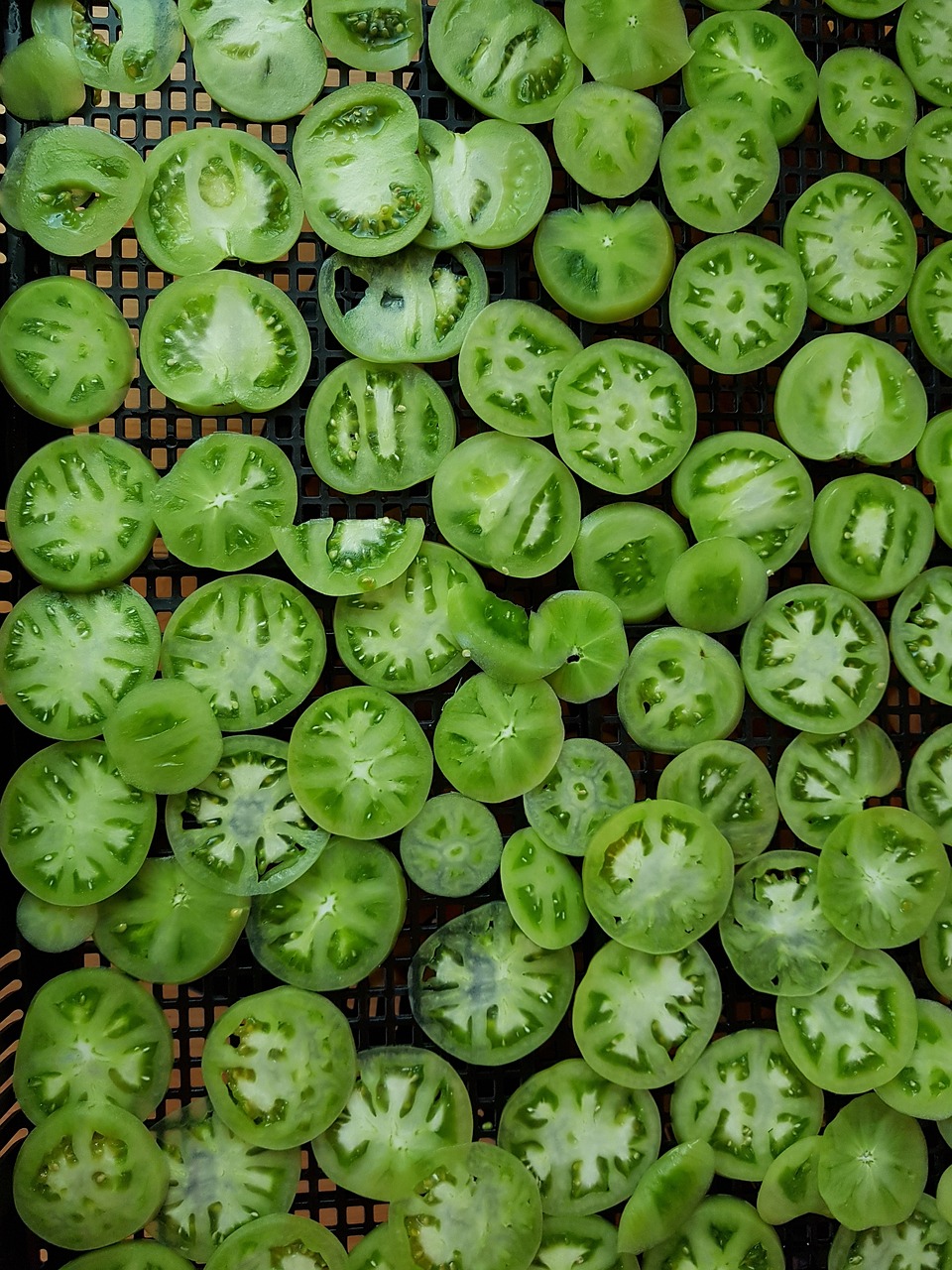 绿色单机斗地主，经典游戏的新体验