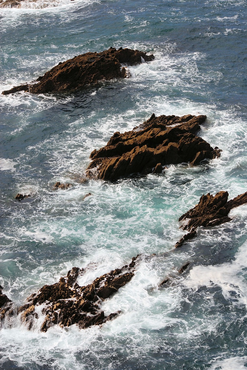 海浪之上的生存挑战，大海求生团队游戏全解析
