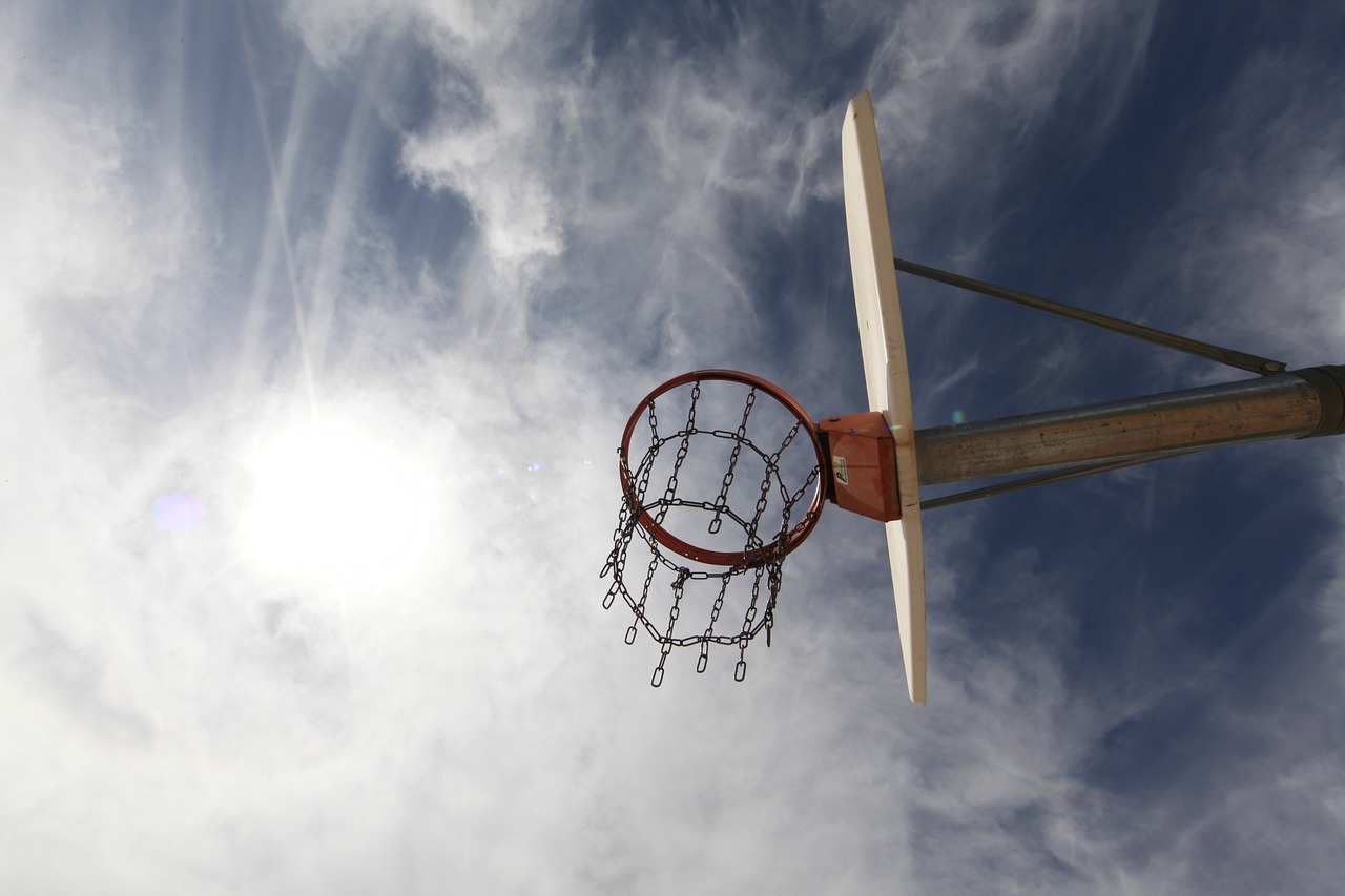 NBA2K玩家福音，全面解析游戏支持与优化体验